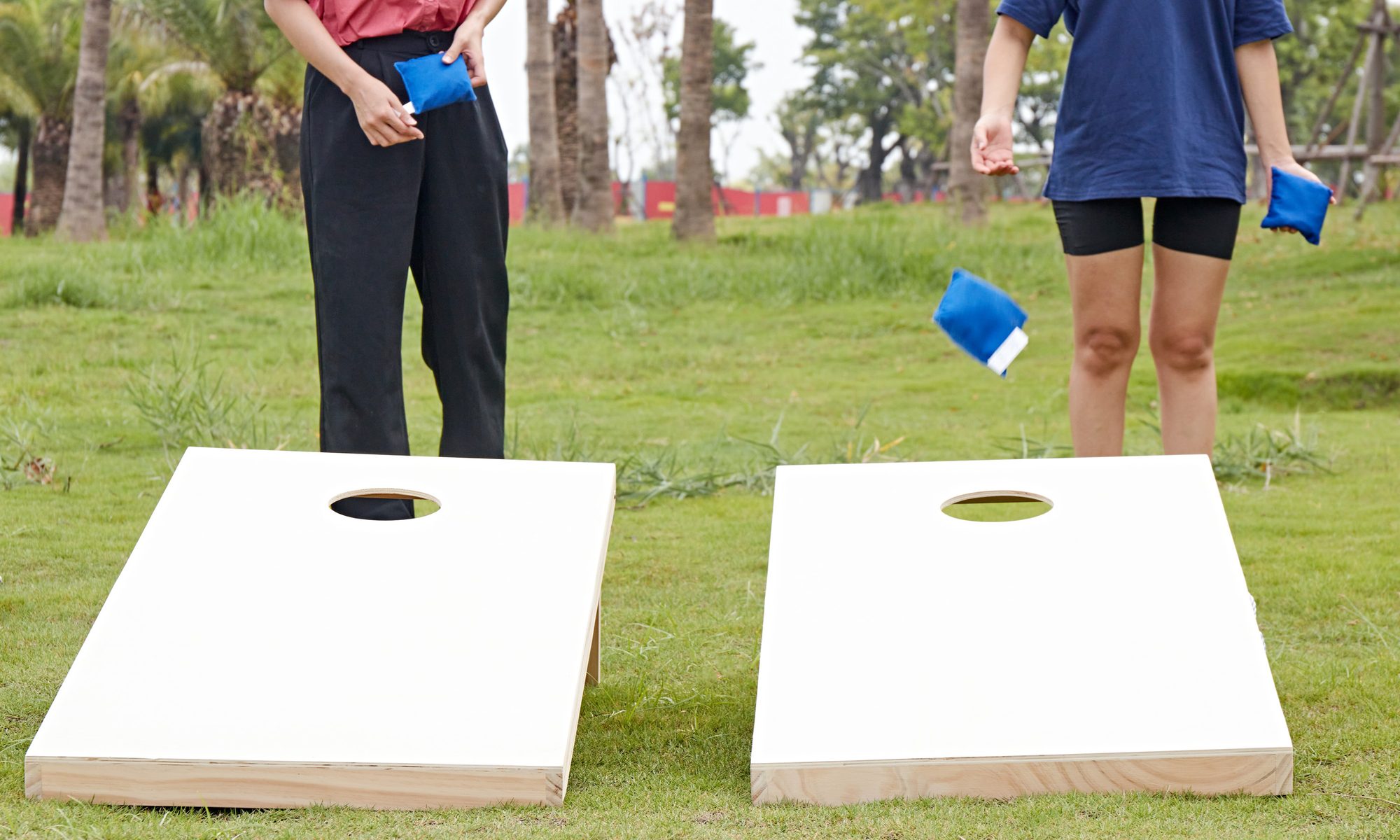 ApudArmis ladder toss game