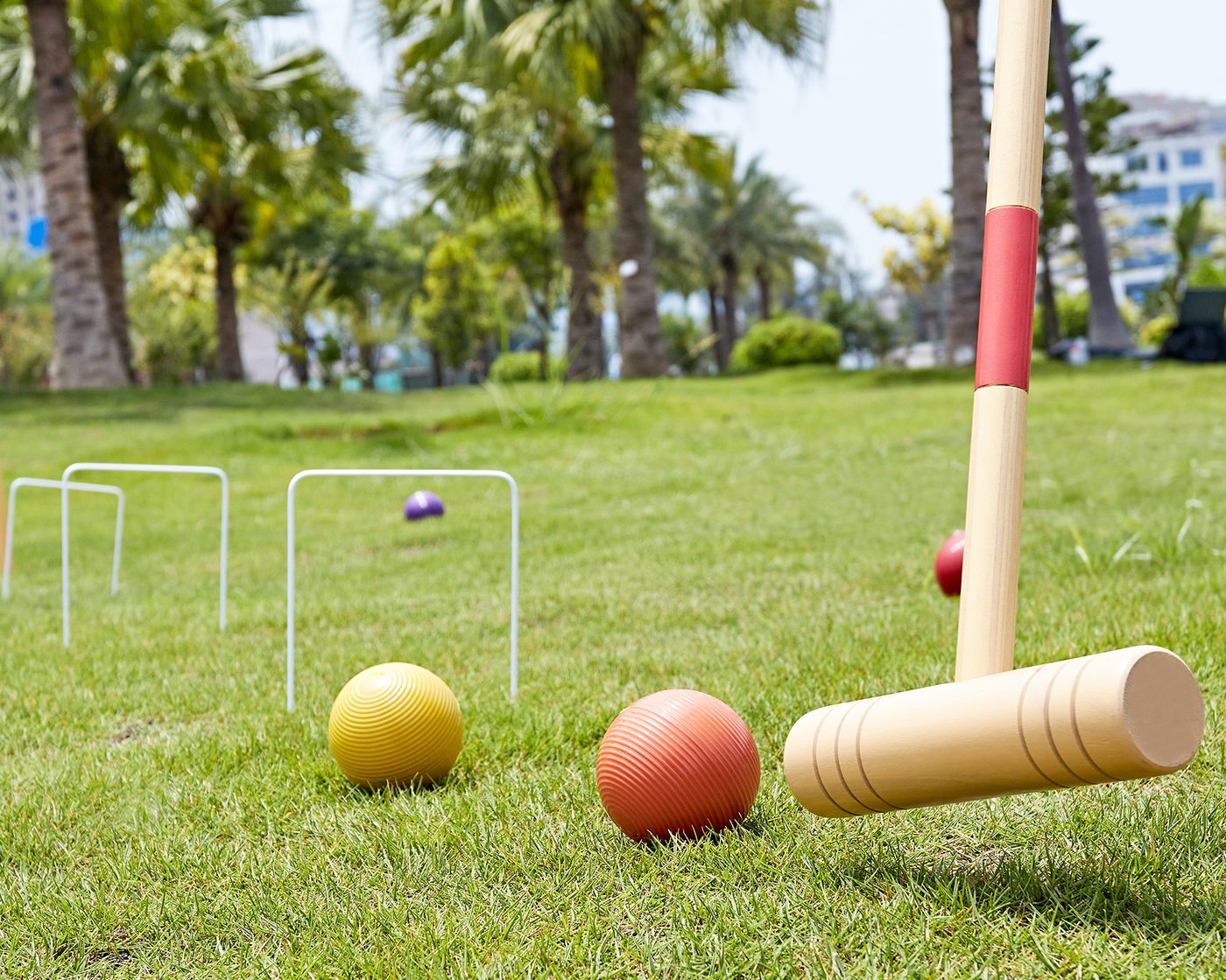 ApudArmis croquet set